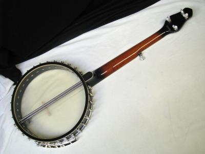 GOLD TONE CEB 5 FRETLESS Cello Banjo NEW with Hard Shell Case  